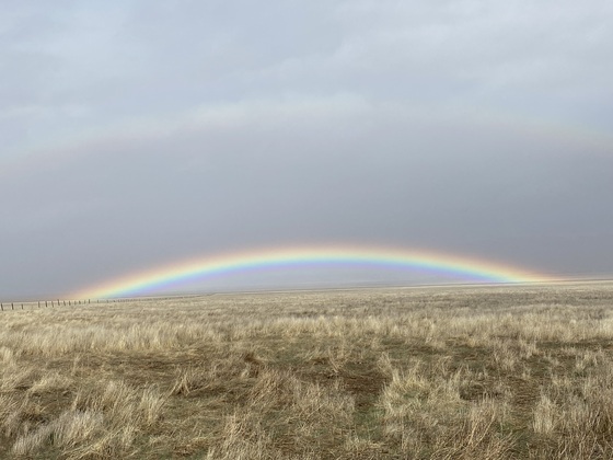 Carrizo Plain National Monument