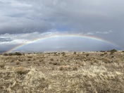 Carrizo Plain National Monument