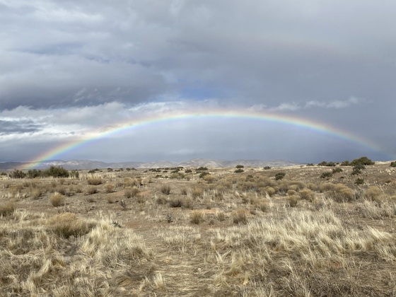 Carrizo Plain National Monument