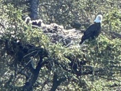 Kenai Fjords National Park