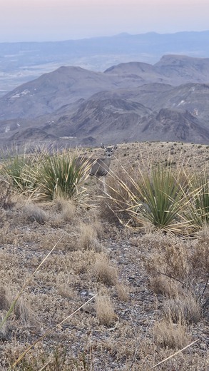 Big Bend National Park