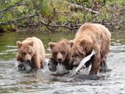 Katmai National Park