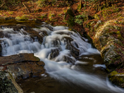 Great Smoky Mountains National Park