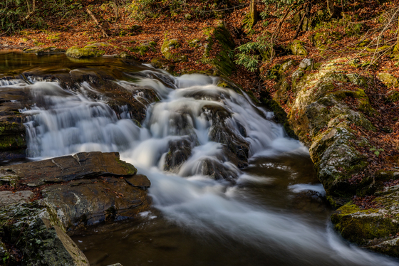 Great Smoky Mountains National Park