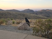 Big Bend National Park