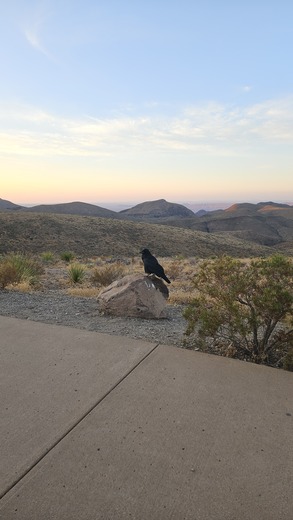 Big Bend National Park