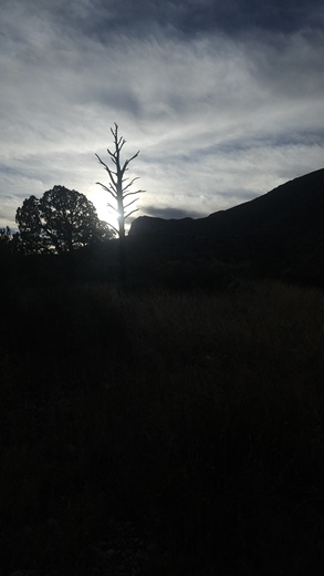 Guadalupe Mountains National Park