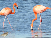 Silver Strand State Beach