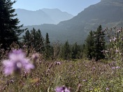 Glacier National Park 