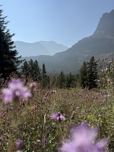 Glacier National Park 