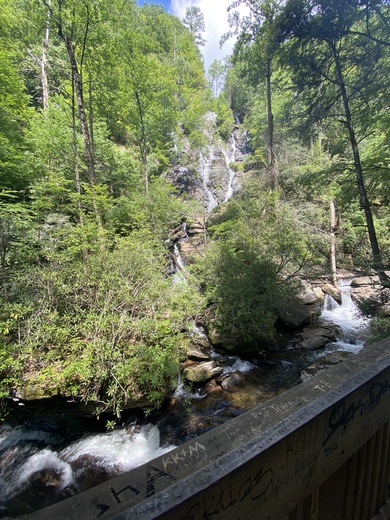 Chattahoochee National Forest