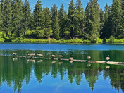 Willamette National Forest