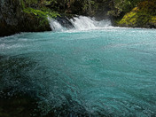 Willamette National Forest