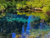 Willamette National Forest