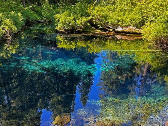 Willamette National Forest