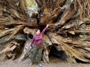 Redwood National and State Parks