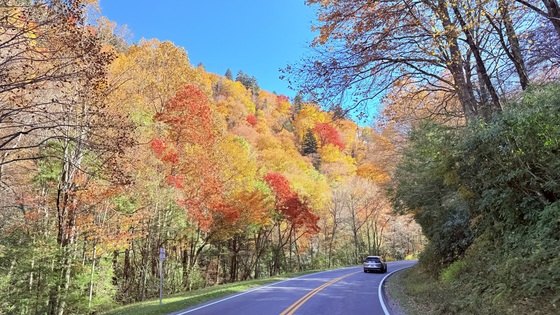 Great Smoky Mountains National Park