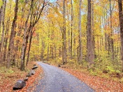 Great Smoky Mountains National Park