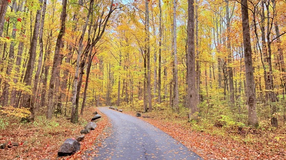 Great Smoky Mountains National Park