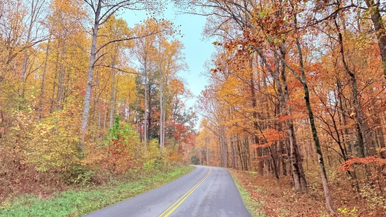Great Smoky Mountains National Park