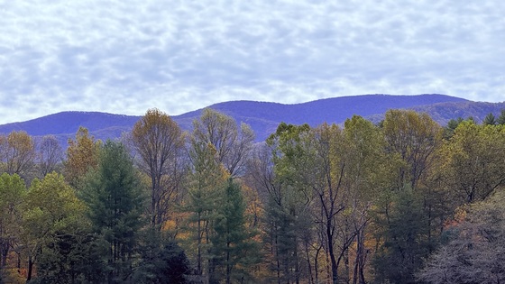 Great Smoky Mountains National Park
