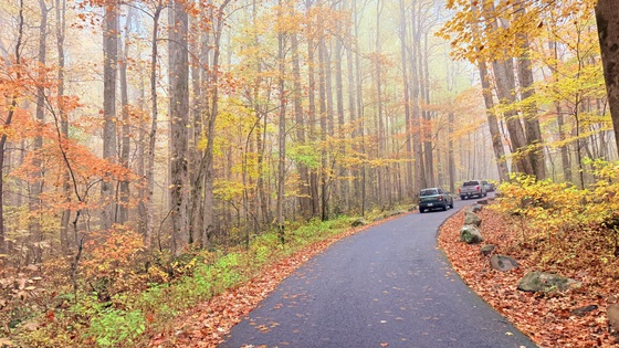 Great Smoky Mountains National Park