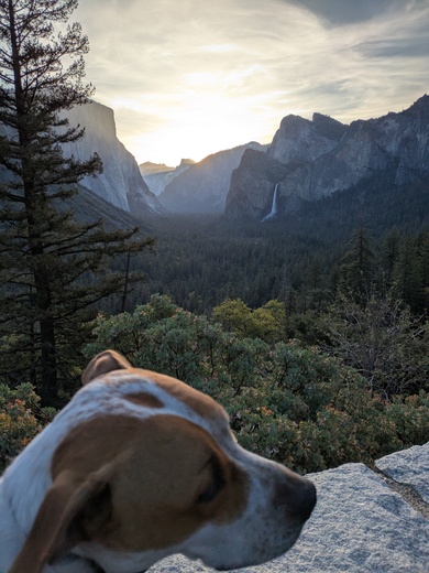 Yosemite National Park