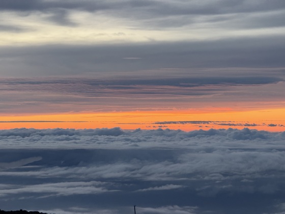Summit Area Trail, Kula, HI, United States