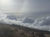 Summit Area Trail, Kula, HI, United States