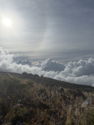 Summit Area Trail, Kula, HI, United States