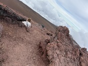 Summit Area Trail, Kula, HI, United States
