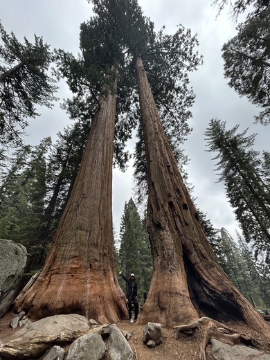 Sequoia National Park