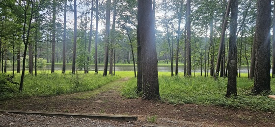 Marathon Lake 