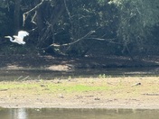 Hillman Ferry Campground 