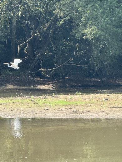 Hillman Ferry Campground 