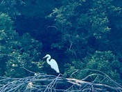 Hillman Ferry Campground 