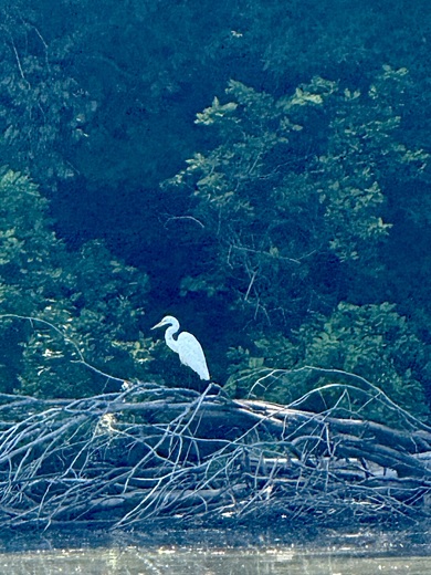 Hillman Ferry Campground 