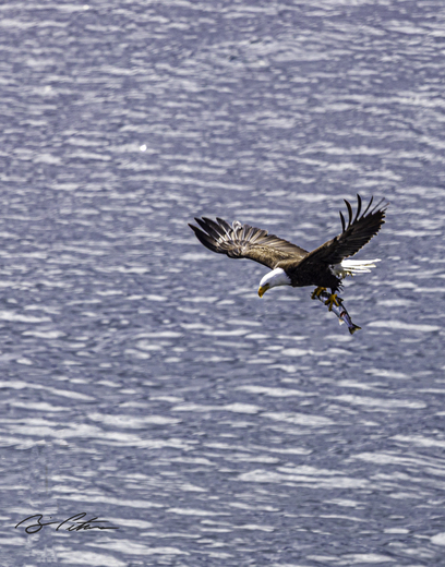 Kenai Fjords National Park 