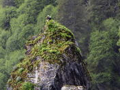 Kenai Fjords National Park 