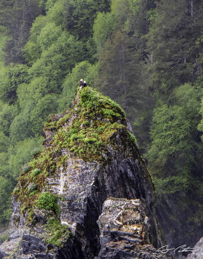 Kenai Fjords National Park 