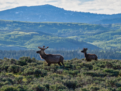 Grand Teton National Park