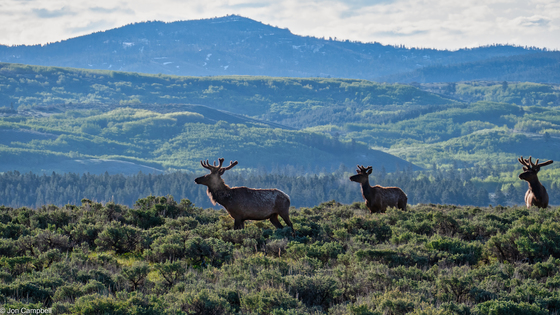 Grand Teton National Park