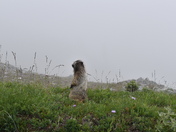 Mount Rainier National Park
