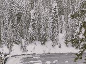 Caribou-Targhee National Forest 