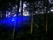 Pickensville Campground