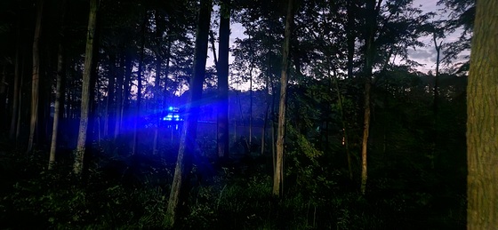 Pickensville Campground