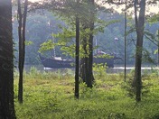 Pickensville Campground