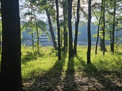 Pickensville Campground