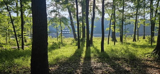Pickensville Campground