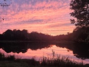 Jennings Ferry Campground